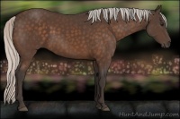 Horse Color:Silver Brown Sabino 
