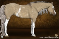 Horse Color:White Spotted Silver Brown Dun