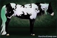 Horse Color:Watercolor White Spotted Bay Sabino Splash 