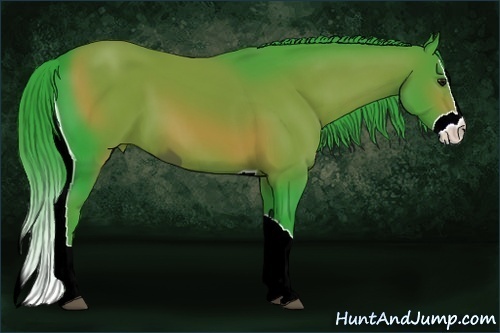 Horse Color:ERROR: UNKNOWN ANOMALY