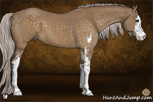 Horse Color:Chocolate Silver Brown Dun Sabino 