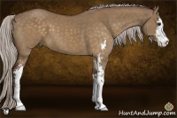 Horse Color:Chocolate Silver Brown Dun Sabino