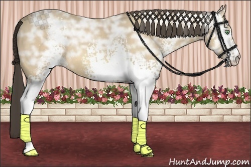 Horse Color:White Spotted Amber Cream Champagne Ice 