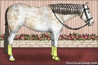 Horse Color:White Spotted Amber Cream Champagne Ice 