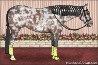 Horse Color:White Spotted Bay Ice