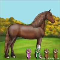 Horse Color:Liver Chestnut