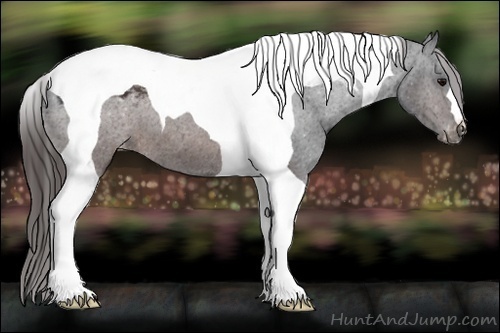 Horse Color:Brown Tobiano Varnish