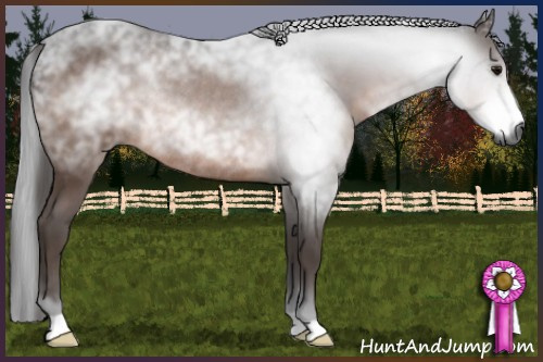 Horse Color:Gray Brown Rabicano