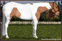 Horse Color:Bay Tobiano Rabicano