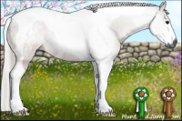 Horse Color:Gray Bay Tobiano