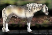 Horse Color:Liver Red Onyx Roan Tobiano 