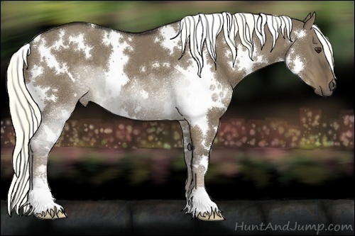 Horse Color:White Spotted Liver Red Dun Sabino 