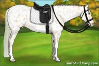 Horse Color:Watercolor Buckskin Pearl Dun Appaloosa