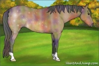 Horse Color:Nacre Buckskin