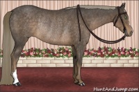 Horse Color:Liver Chestnut Rabicano