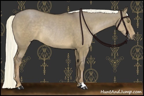 Horse Color:Liver Red Dun Rabicano 