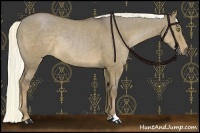 Horse Color:Liver Red Dun Rabicano 