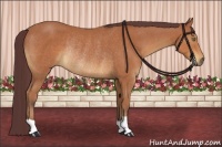 Horse Color:Chocolate Bay Rabicano 