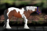 Horse Color:Bay Tobiano