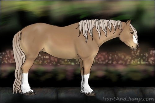 Horse Color:Palomino