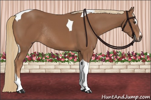Horse Color:Chestnut Sabino Tobiano Rabicano 