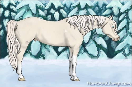 Horse Color:Cremello Tobiano 