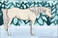 Horse Color:Cremello Tobiano 