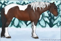 Horse Color:Brown Tobiano 