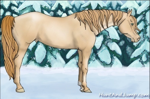 Horse Color:Gold Champagne Pearl 