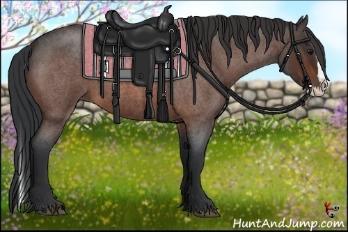 Horse Color:Bay Roan Splash