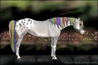 Horse Color:Painted Blue Onyx Varnish Rabicano 