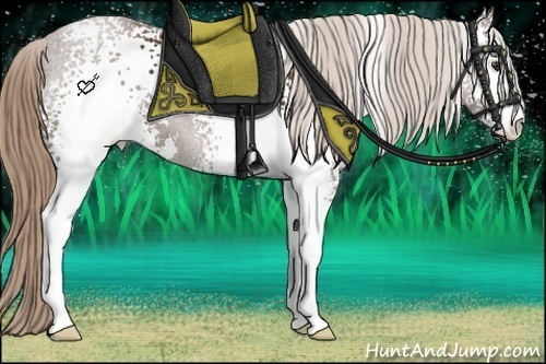 Horse Color:White Spotted Liver Chestnut Sabino 