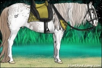 Horse Color:White Spotted Liver Chestnut Sabino