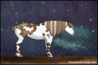 Horse Color:Liver Chestnut Splash Tobiano