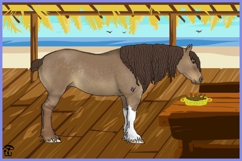 Horse Color:Liver Red Dun Rabicano 