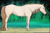 Horse Color:Buckskin Roan Pearl and Buckskin Roan Pearl