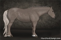 Horse Color:Silver Black 