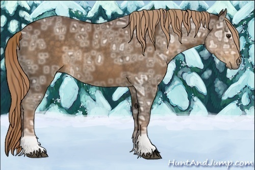 Horse Color:Liver Chestnut Ice Rabicano 