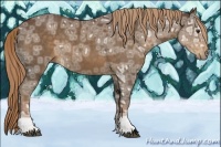 Horse Color:Liver Chestnut Ice Rabicano
