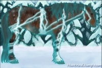 Horse Color:Thunderstruck Bay Ice Sabino Rabicano