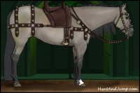 Horse Color:Grullo 