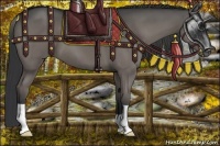 Horse Color:Grullo 