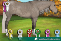Horse Color:Silver Smoky Grullo 