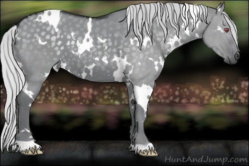Horse Color:White Spotted Silver Grullo Chinchilla 
