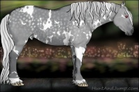 Horse Color:White Spotted Silver Grullo Chinchilla 