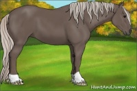 Horse Color:Silver Black 
