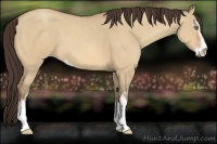 Horse Color:Amber Champagne Dun Sabino 