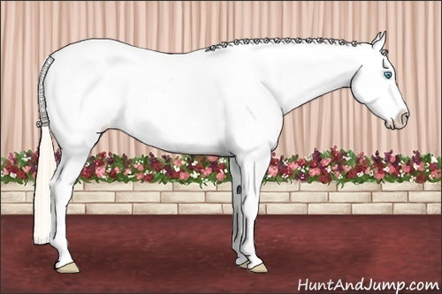Horse Color:White Spotted Perlino Varnish 