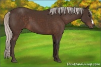 Horse Color:Silver Brown 