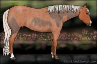 Horse Color:Silver Brown Roan Sabino and Silver Bay Roan